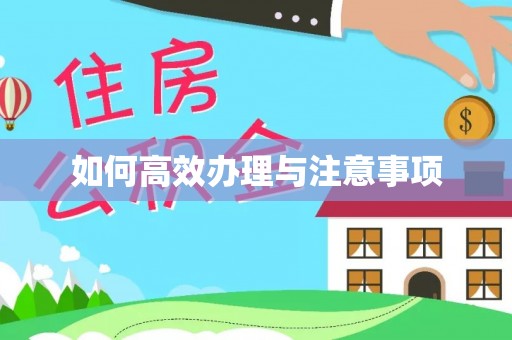 武冈如何高效办理与注意事项