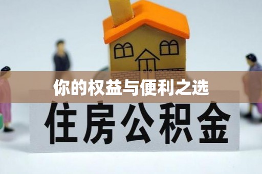 武冈你的权益与便利之选