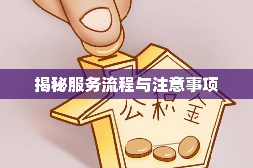 武冈揭秘服务流程与注意事项