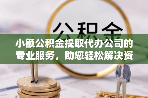 武冈小额公积金提取代办公司的专业服务，助您轻松解决资金难题