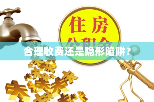 武冈合理收费还是隐形陷阱？