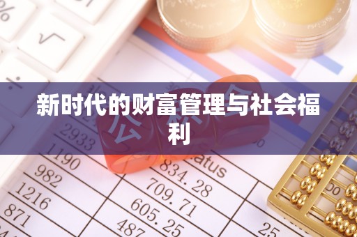 武冈新时代的财富管理与社会福利