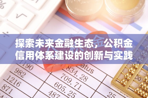 武冈探索未来金融生态，公积金信用体系建设的创新与实践