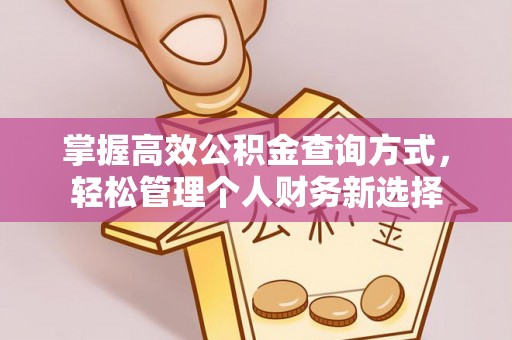 武冈掌握高效公积金查询方式，轻松管理个人财务新选择