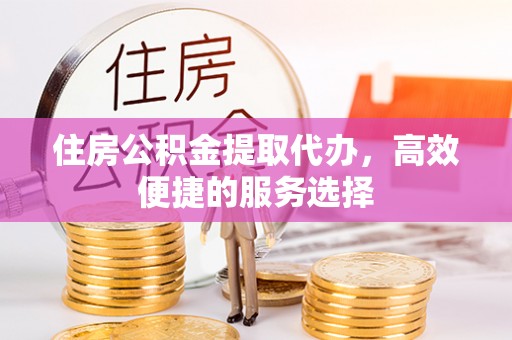 武冈住房公积金提取代办，高效便捷的服务选择