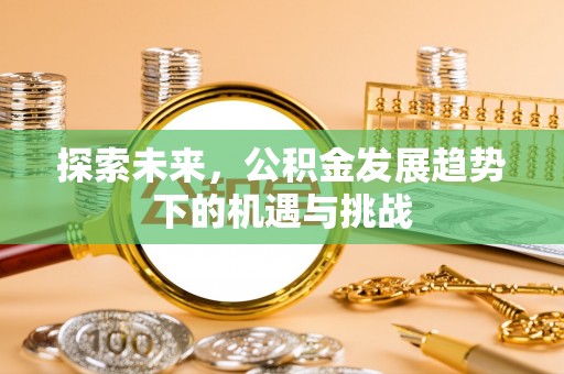 武冈探索未来，公积金发展趋势下的机遇与挑战