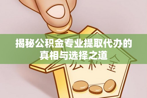 武冈揭秘公积金专业提取代办的真相与选择之道