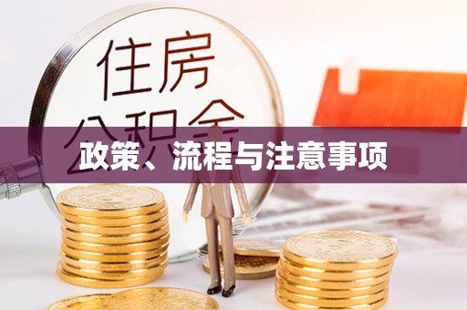 武冈政策、流程与注意事项