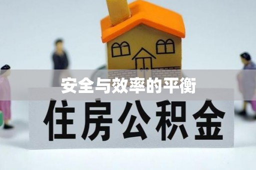 武冈安全与效率的平衡