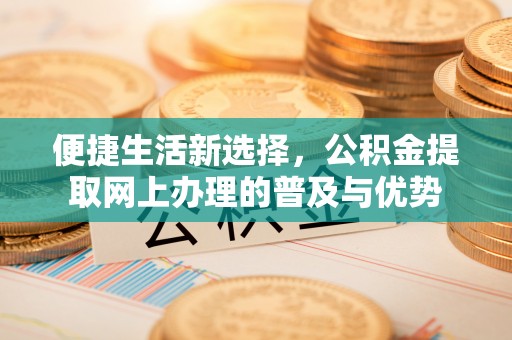 武冈便捷生活新选择，公积金提取网上办理的普及与优势