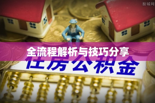 武冈全流程解析与技巧分享